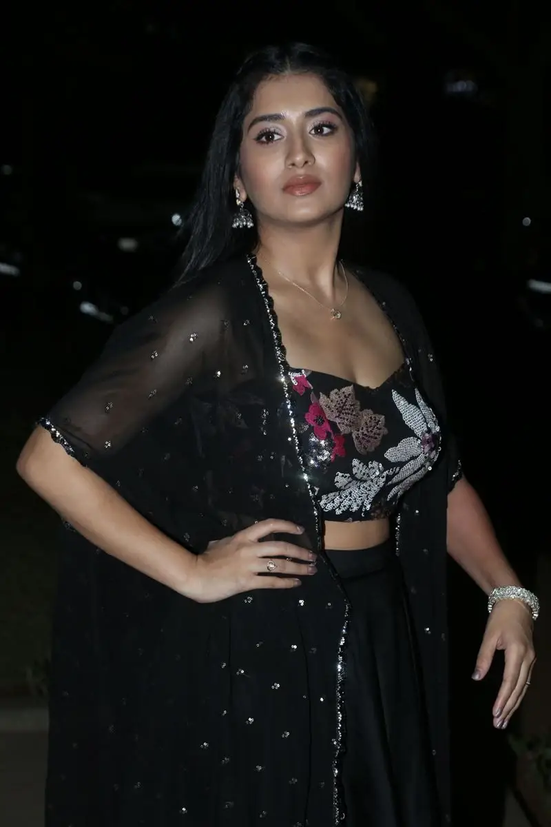 Rashi Singh at Bhoothaddam Bhaskar Narayana Movie Release